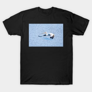 American White Pelican Gliding Along T-Shirt